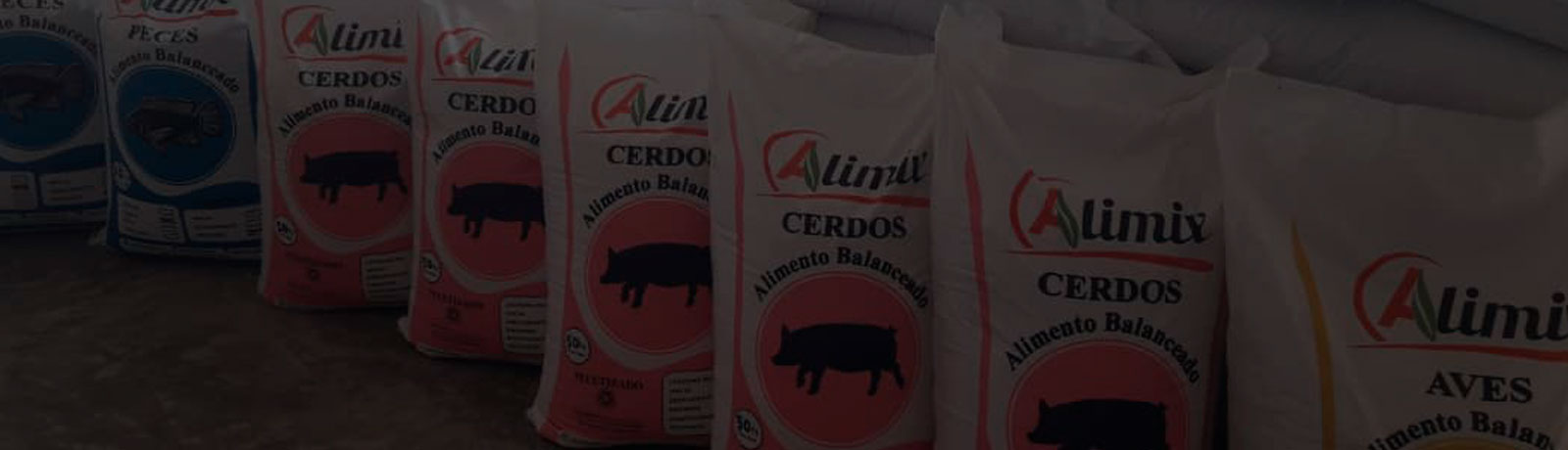 contácto