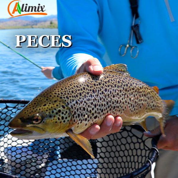 ALIMENTO BALANCEADO PARA PECES