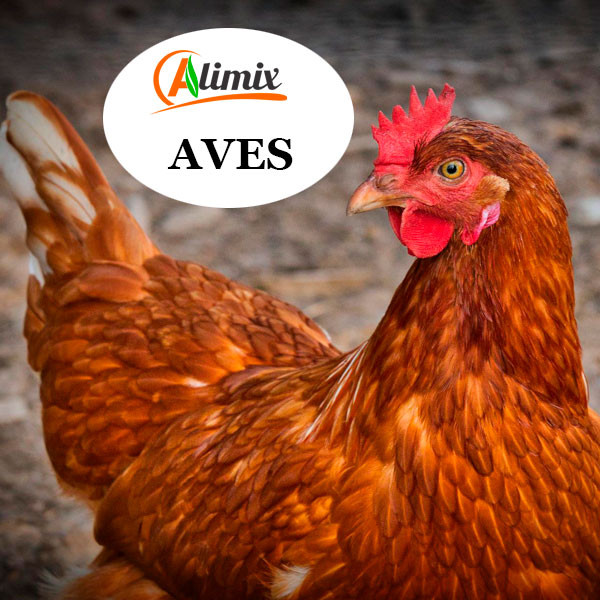ALIMENTO BALANCEADO PARA AVES